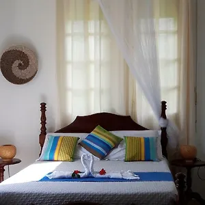 Ti Cajou Séjour chez l'habitant Baie-Mahault